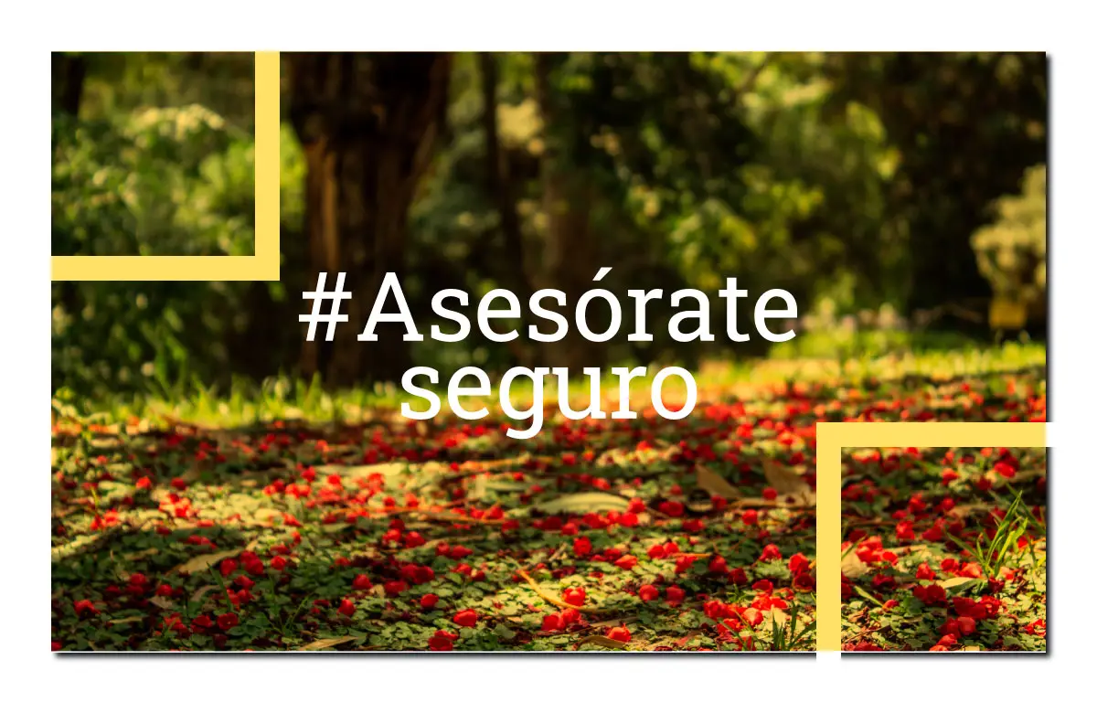 Asesores de seguros en Bogotá